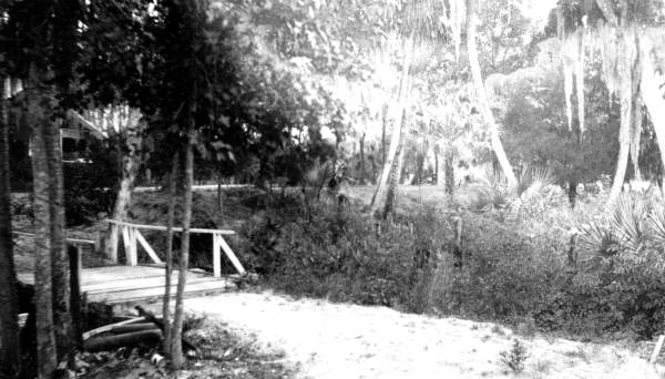 View of Riverview - Florida