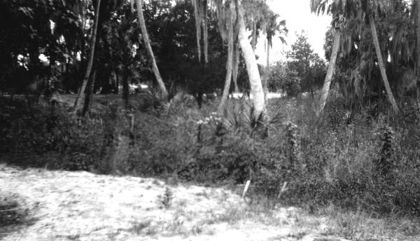 View of Riverview - Florida