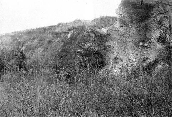 Abandoned pit of Plant #2 of Franklin Phosphate Company