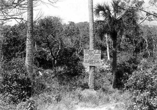 Looking toward Turtle Mound kitchen-midden - about eleven miles south of New Smyrna