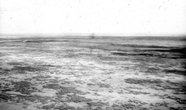 Aerial view of scattered myrtle and saw-grass east of Miami Canal