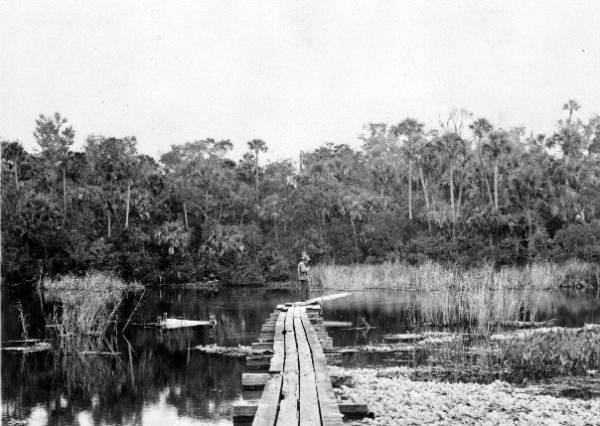 Alexander Springs looking down run from the headpool