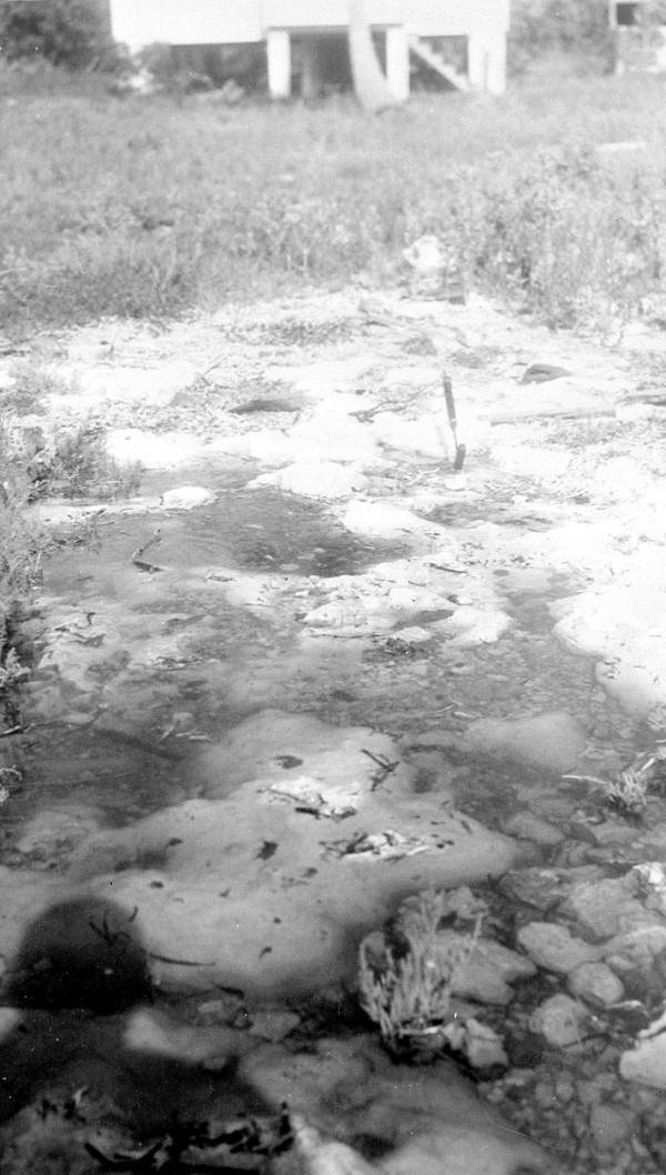 Miami oolite covered at high tide - Tavernier, Florida.