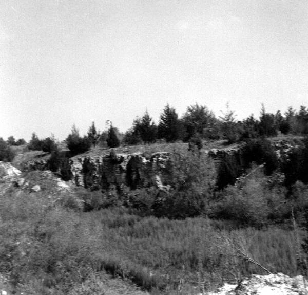 Panorama of an abandoned mine of the Ocala Group