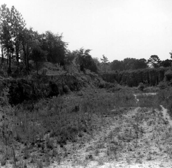 Panorama of an abandoned mine of the Ocala Group