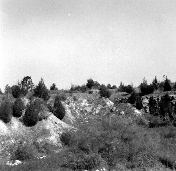 Panorama of an abandoned mine of the Ocala Group
