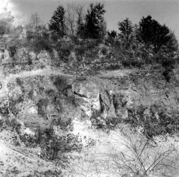 Road leading into a quarry of the Ocala Group