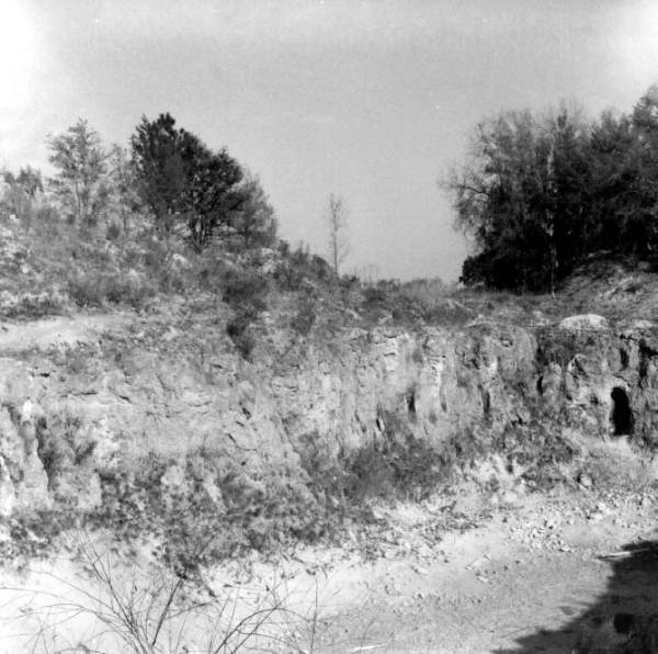 Road leading into a quarry of the Ocala Group