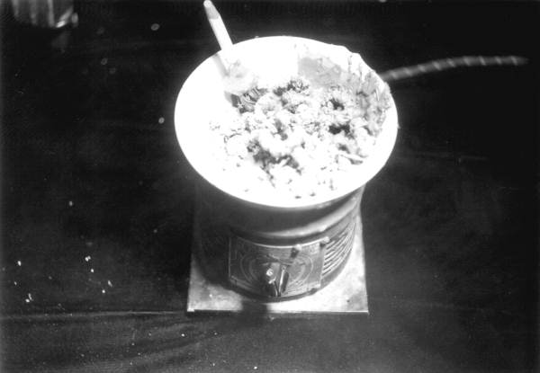 Preparing plastic coating for use in making cast of Amphicyon from Thomas Farm
