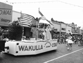 Wakulla County entry in Governor Dan McCarty's inaugural parade.
