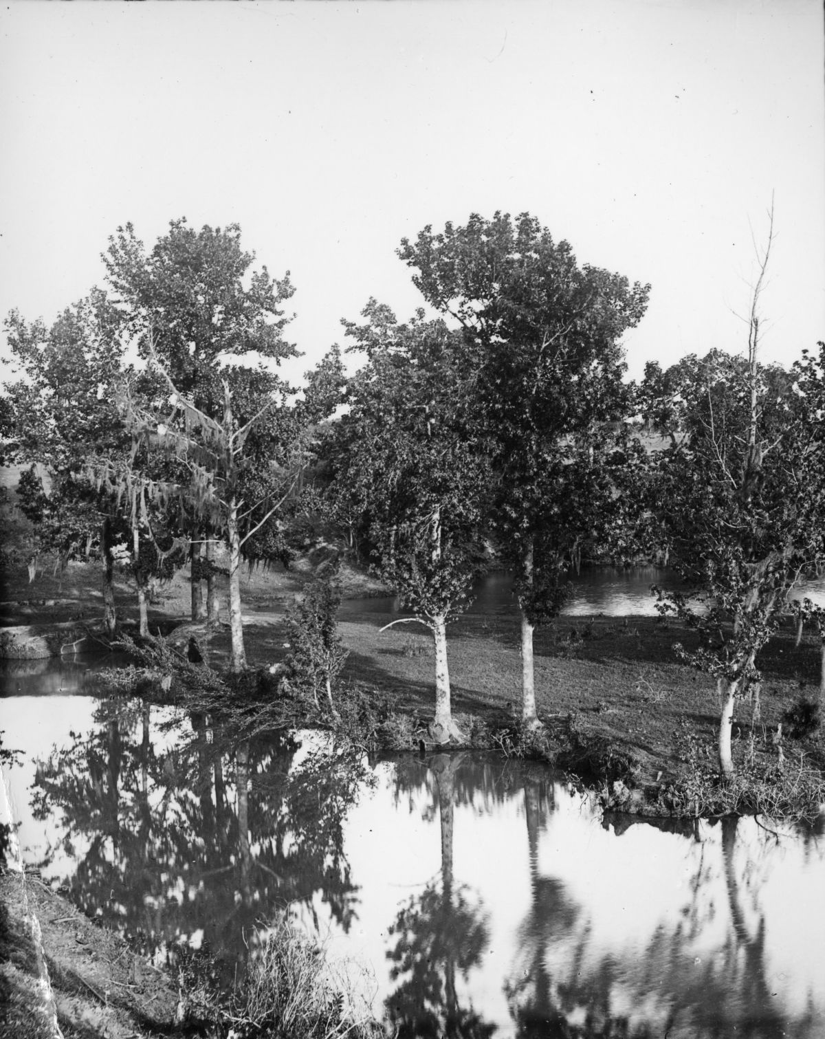 Stereoview of two ponds separated by trees.