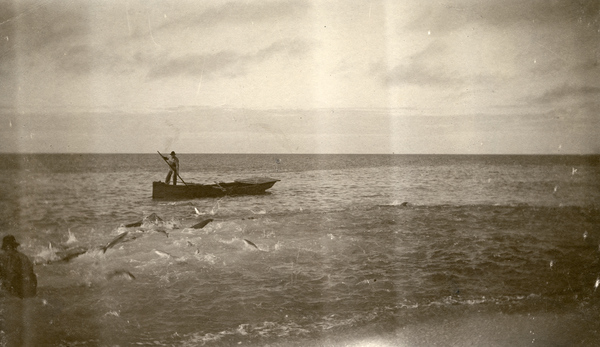Mullet fishing in Key West, Florida.