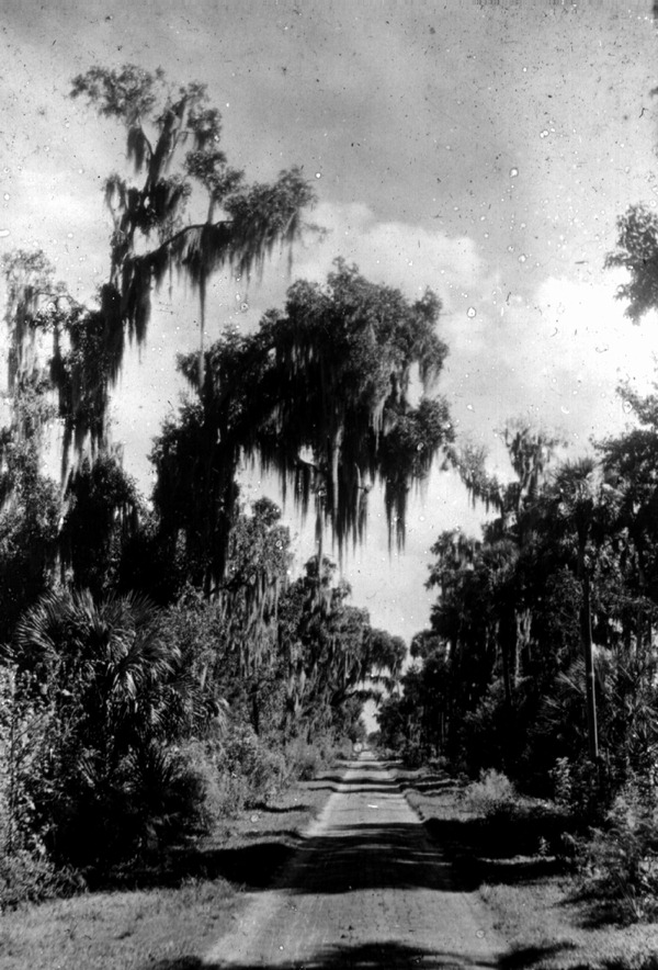 Country road