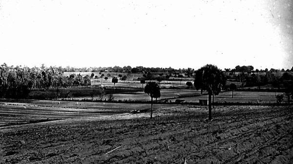 Panorama of newly ploughed trucking lands