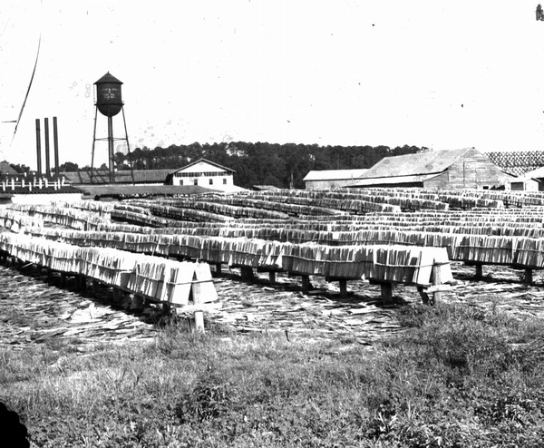 Crate mill drying yard