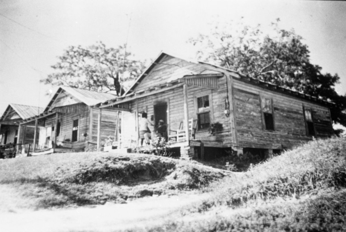 Tenant farmers' houses - Madison, Florida