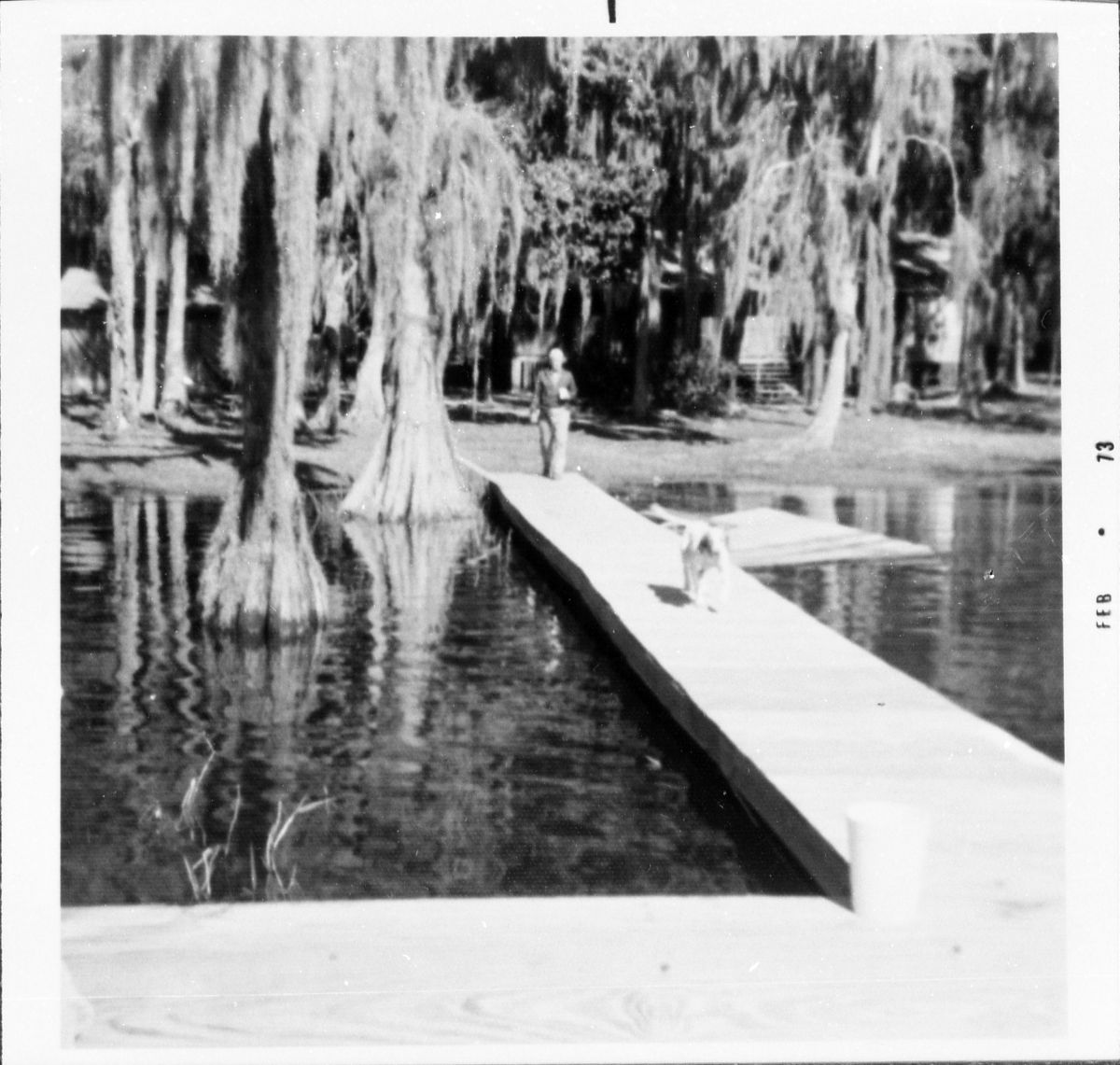 Ashley House - Cherry Lake, Florida
