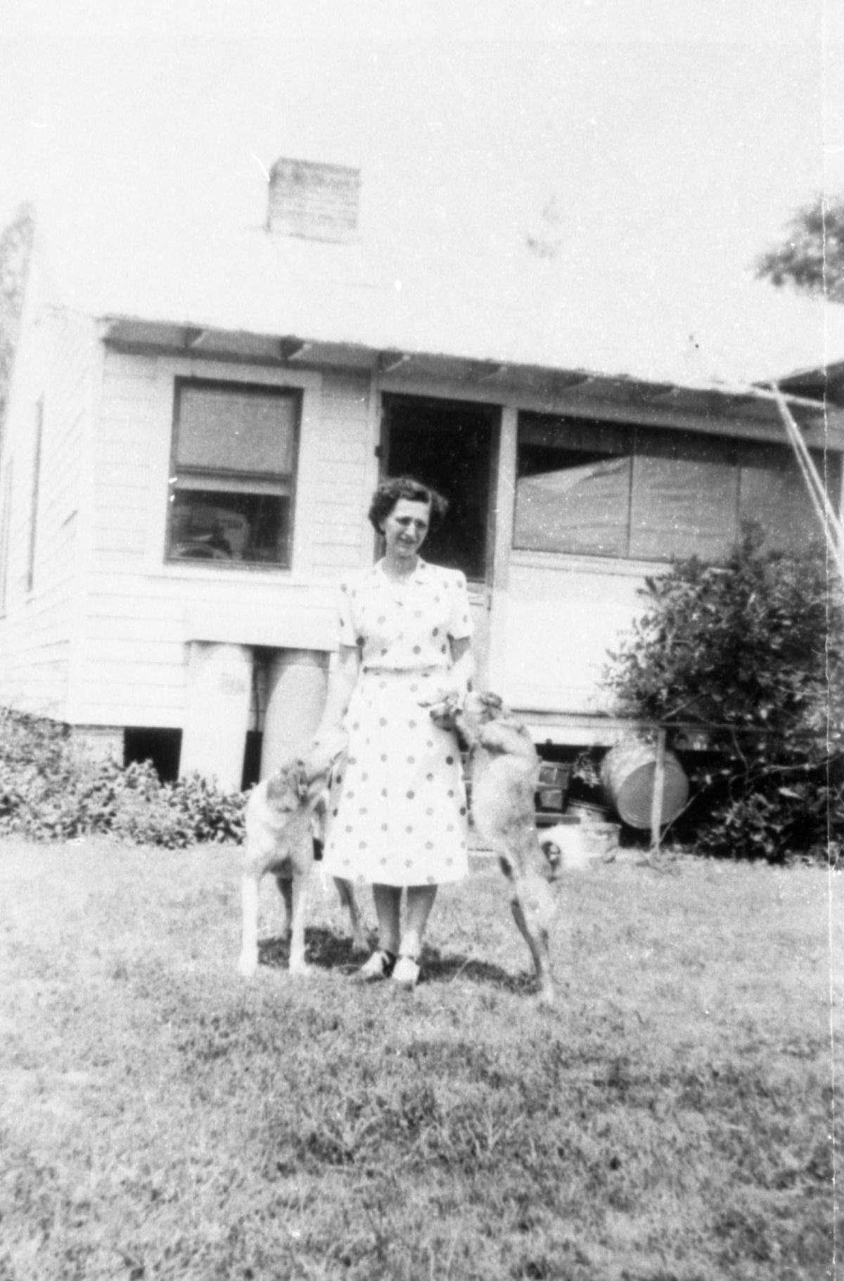 Mickey Roffe and dogs at the back of the Roffe family home - Cherry Lake, Florida