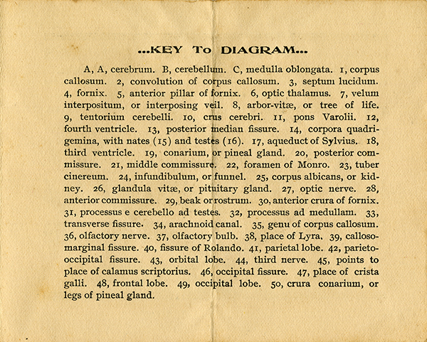Lecture pamphlet, 1903
