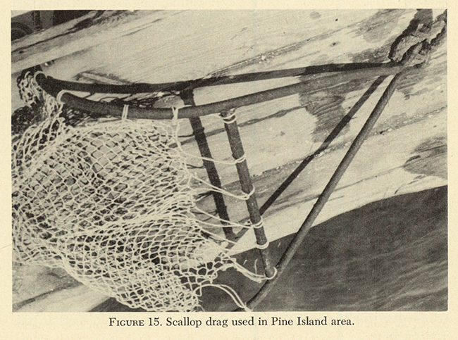 FIGURE 15. Scallop drag used in Pine Island area.