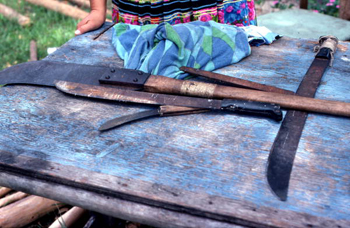 Mary B. Billie's tools for gathering palmetto fibers to make Seminole dolls: Big Cypress Seminole Indian Reservation, Florida