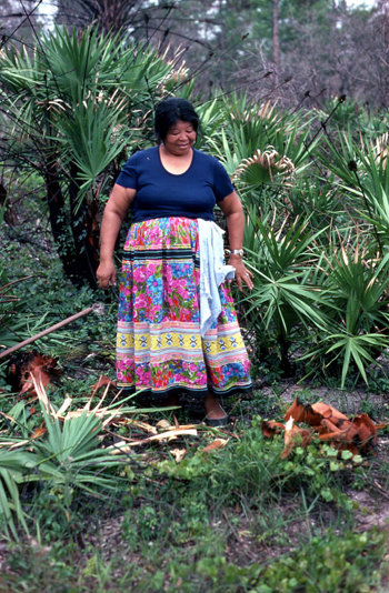 Mary B. Billie admiring the palmetto fibers she has collected for dollmaking: Big Cypress Seminole Indian Reservation, Florida