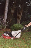 Lawnmowers Now