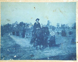 Example of cyanotype