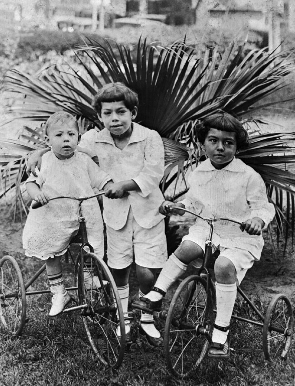 Wilfred, Jack and Herbert Wolfson on tricycles at Munn Park