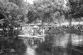 Scene from the filming of "Revenge of the Creature" at Silver Springs.
