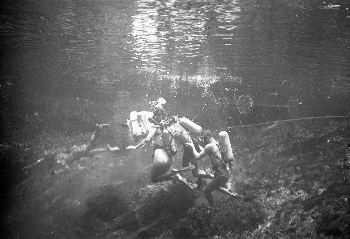 Film crew at work during filming of "Revenge of the Creature" at Silver Springs.