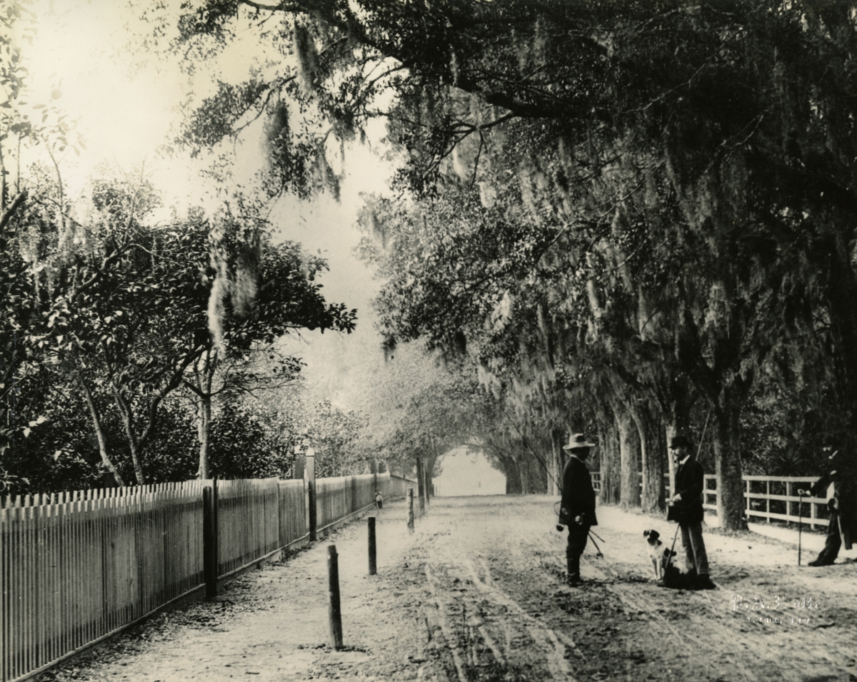 Looking east down King Street in St. Augustine, Florida.