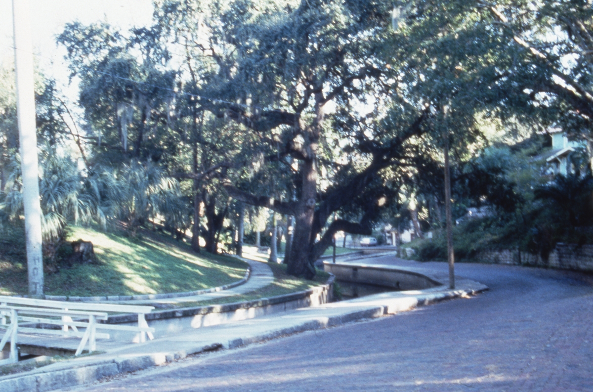 Photographs of the Roser Park Historic District in Saint Petersburg.