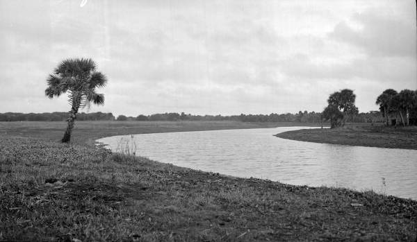 View of the river at Myakka River State Park - Sarasota, Florida.