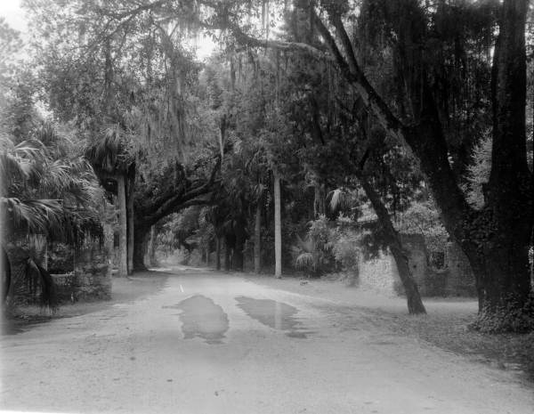 Entrance to Kingsley Plantation State Park with slave tabby cabins- Jacksonville, Florida.