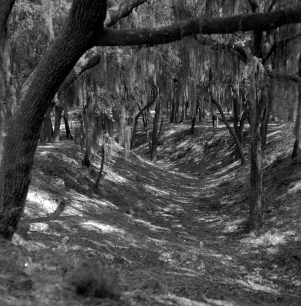 Remnants of shell mounds on Fort George Island - Jacksonville, Florida.
