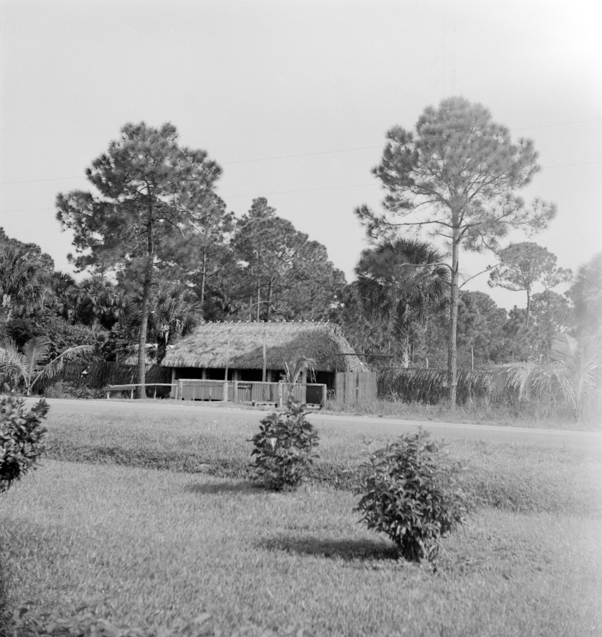 View of the Buster family village, showing a traditional Seminole chickee - Everglades City, Florida