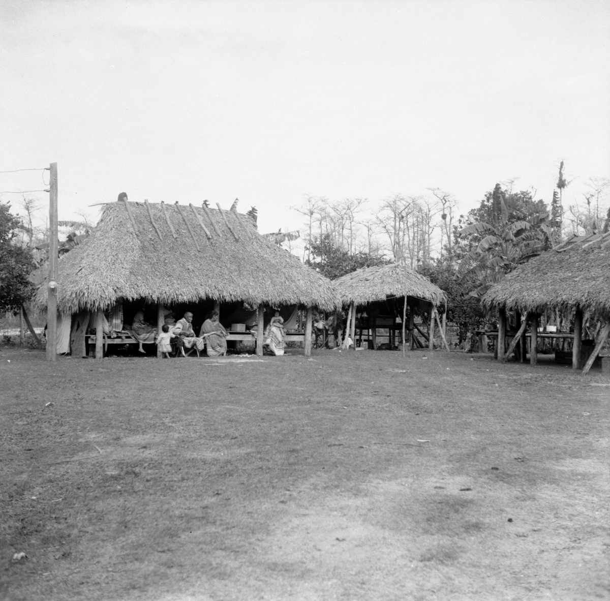 Charlie Cypress village