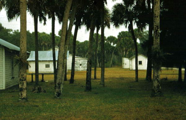 Buildings.