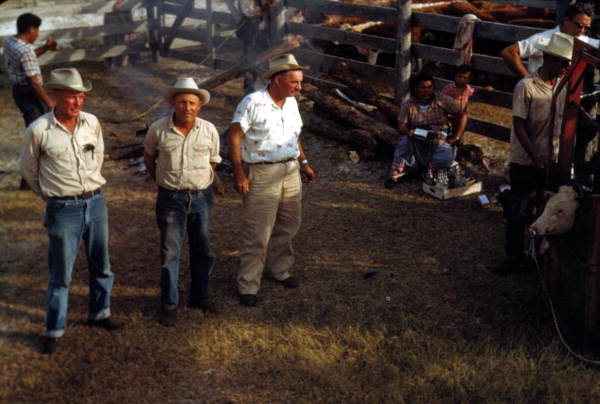 Indian cowboys at the Brighton Indian Reservation