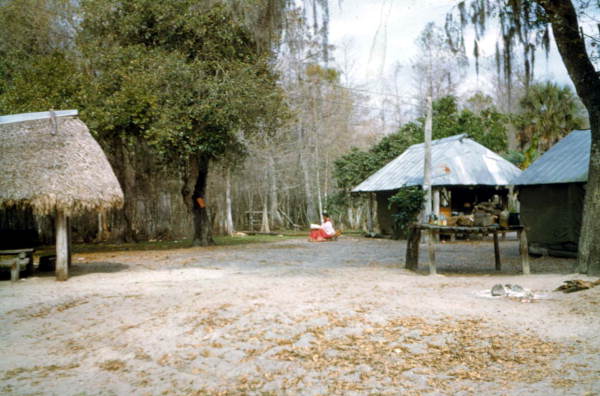 Chickees at the Big Cypress Seminole Indian Reservation