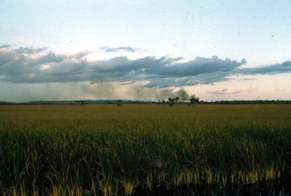 Clouds over the grasslands in Florida