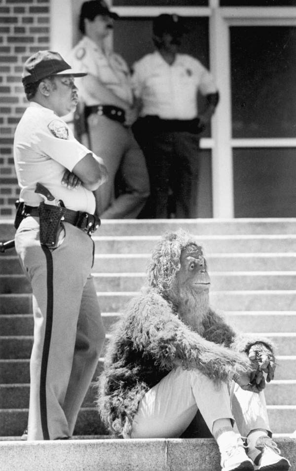 Student dresses as an ape in protest of cruel and inhumane experimentation