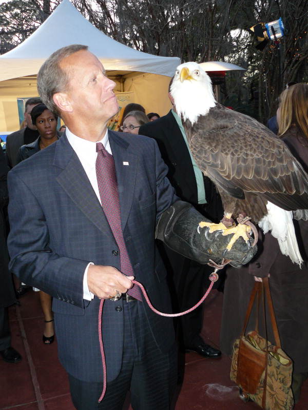 Florida Atlantic University President Frank Brogan meeting an American bald eagle from Sea World at an outdoor cocktail party before the legislative session in Tallahassee, Florida.