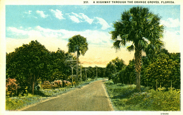 A highway through the orange groves - Florida