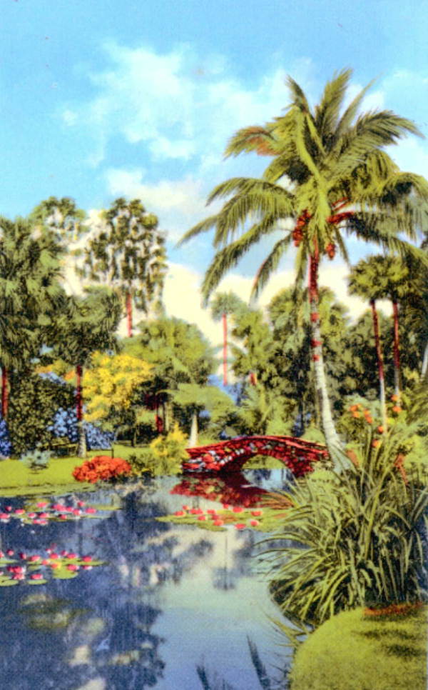 Tropical beauty in McKee Jungle Gardens.
