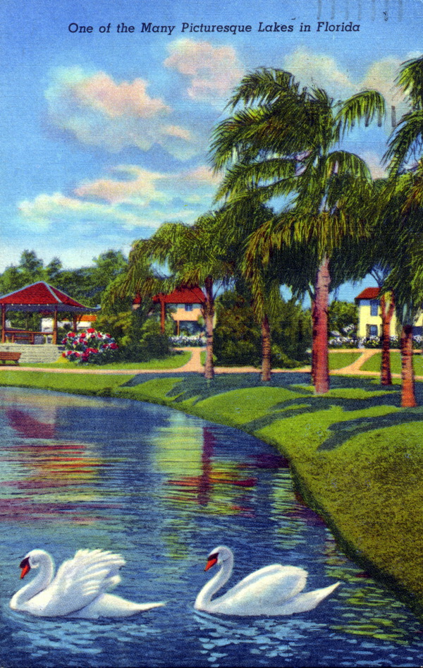 One of the many picturesque lakes in Florida