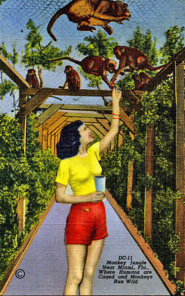 Where humans are caged and monkeys run wild