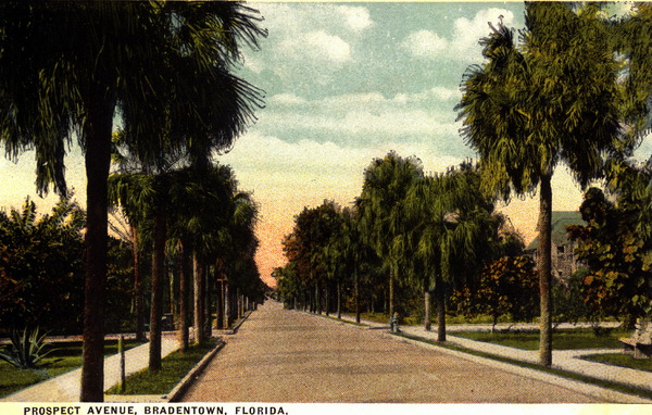 Prospect Avenue - Bradenton, Florida