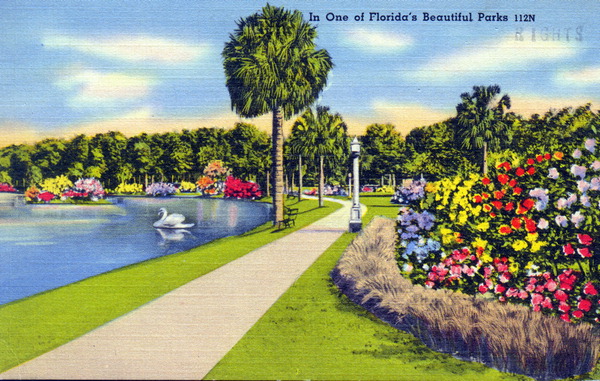 In one of Florida's beautiful parks